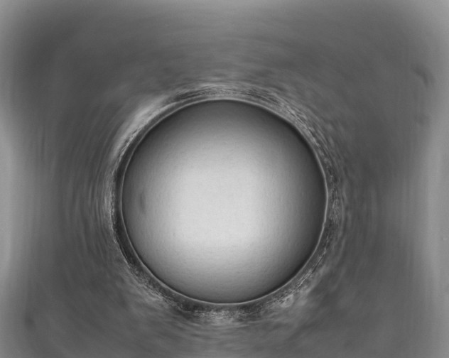 X0000111600103200907231244