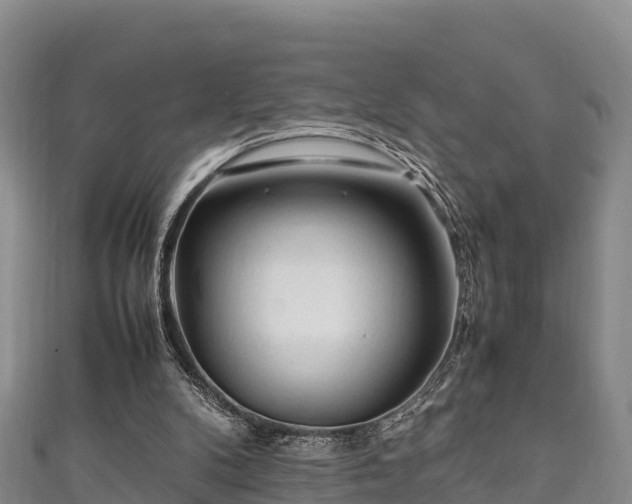 X0000111600104200907231244