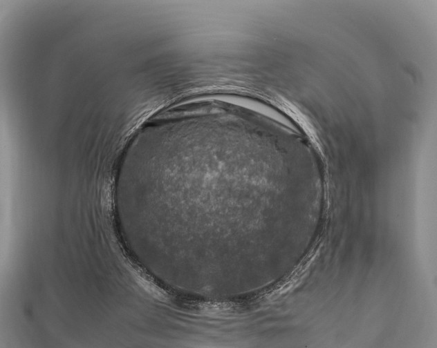 X0000111600105200907231244