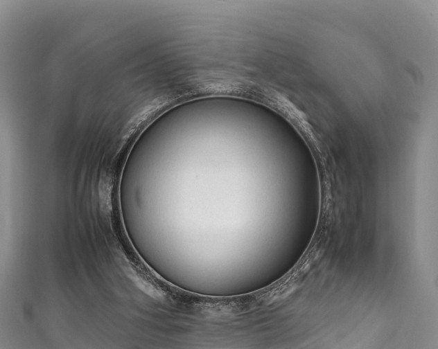 X0000111600106200907231244