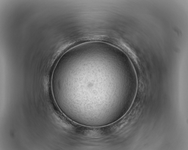X0000111600107200907231244