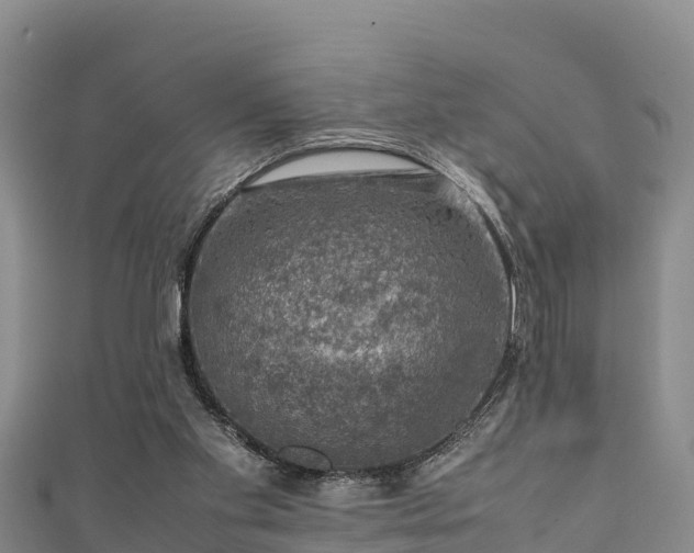 X0000111600109200907231244