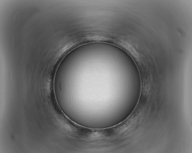 X0000111600111200907231244
