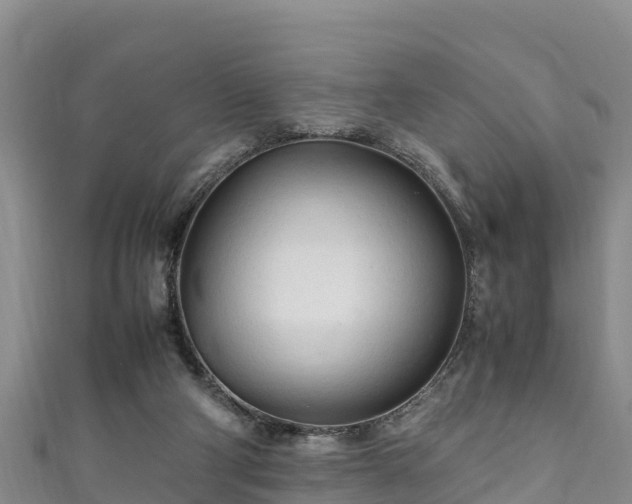 X0000111600114200907231244