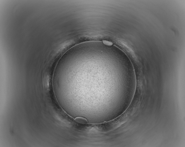 X0000111600115200907231244