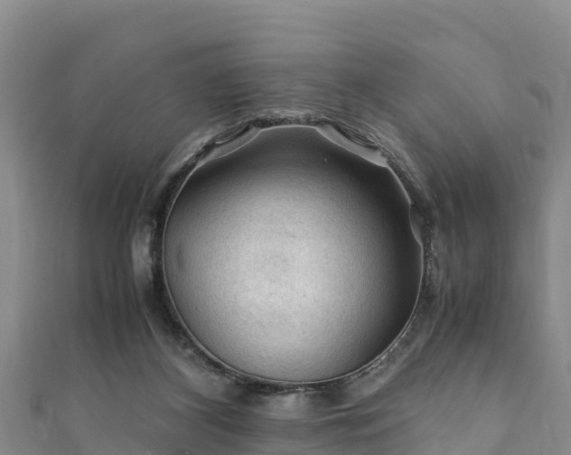 X0000111600116200907231244