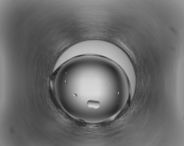 X0000111600117200907231244