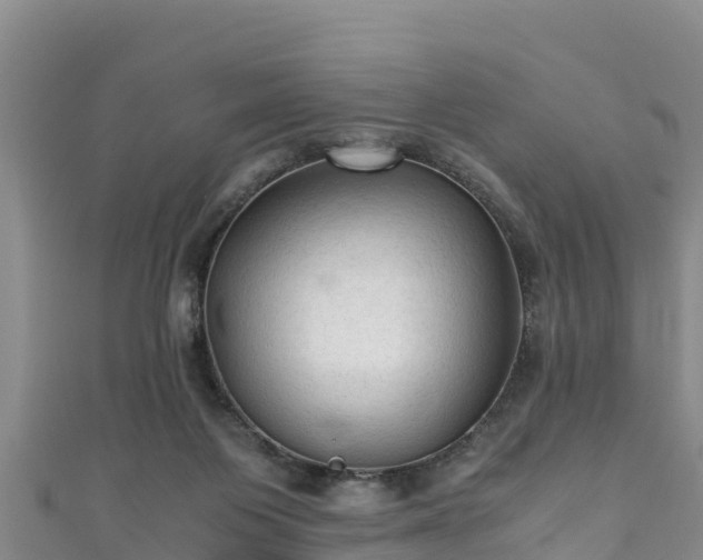 X0000111600119200907231244