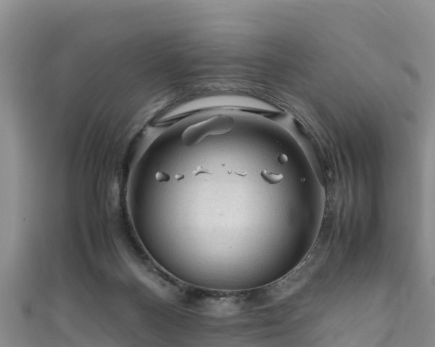 X0000111600120200907231244