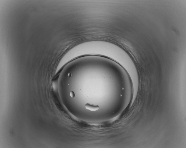 X0000111600121200907231244