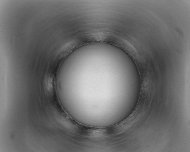 X0000111600122200907231244