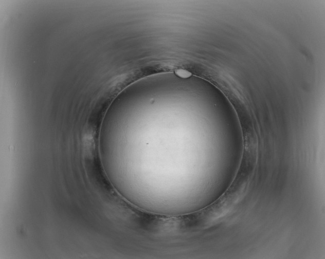 X0000111600127200907231244