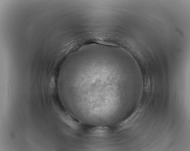 X0000111600128200907231244