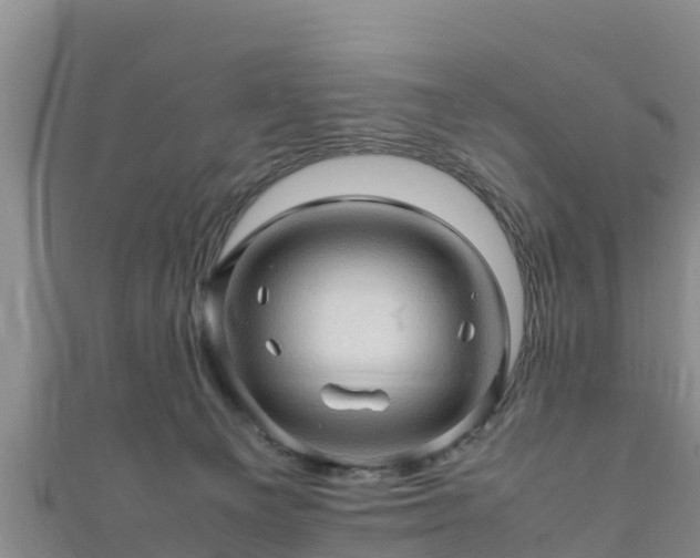 X0000111600129200907231244