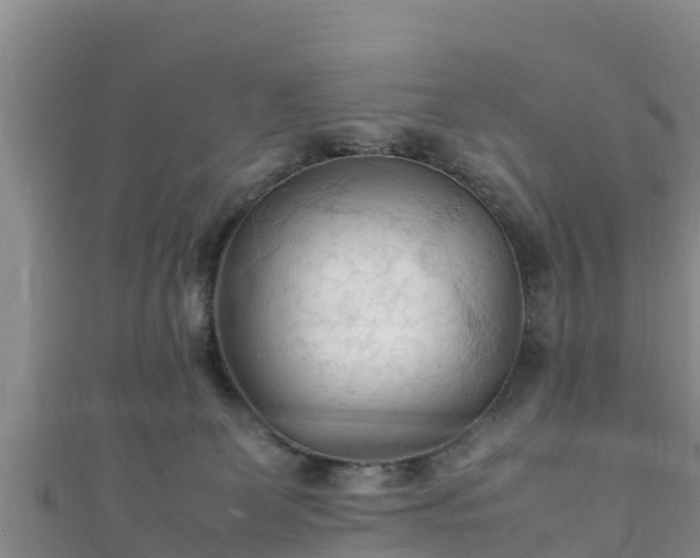 X0000111600131200907231244