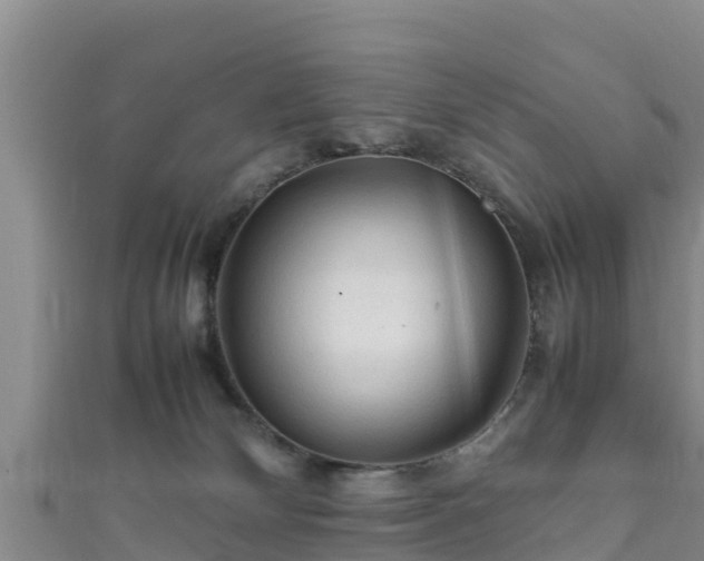 X0000111600132200907231244