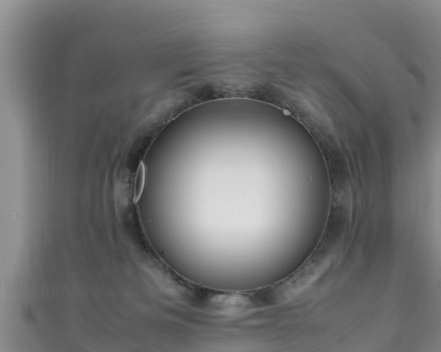 X0000111600133200907231244