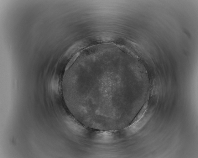 X0000111600140200907231243