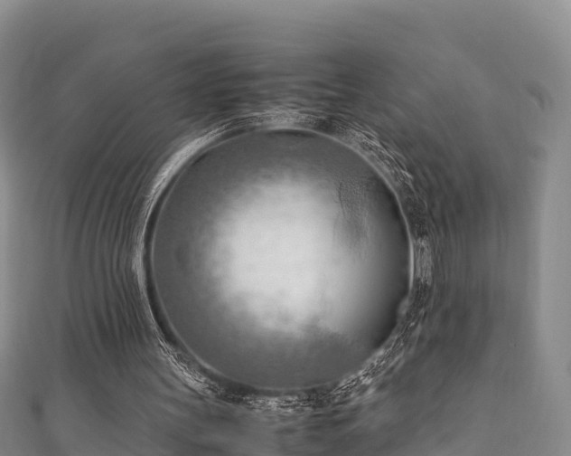 X0000111600147200907231243