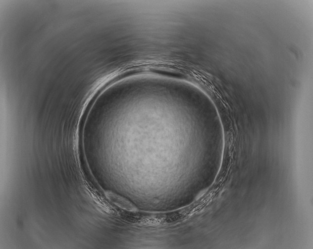 X0000111600148200907231243