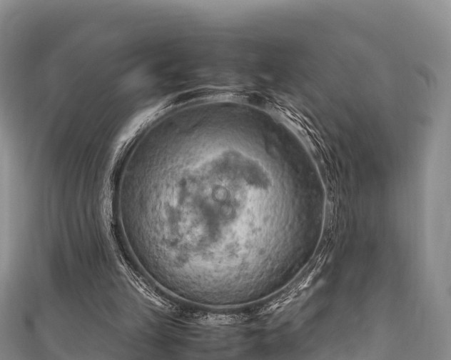 X0000111600149200907231243
