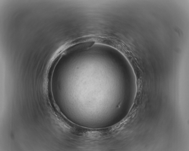 X0000111600150200907231243