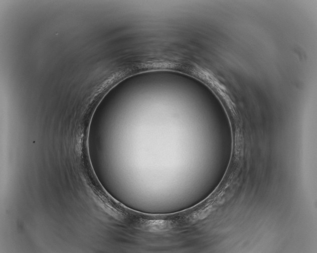 X0000111600153200907231243