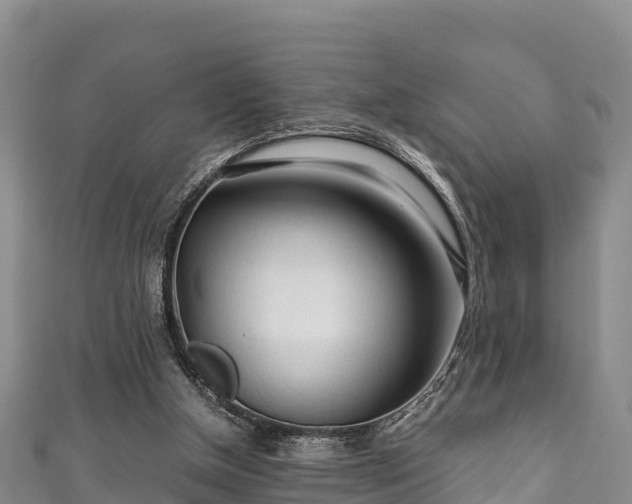 X0000111600154200907231243