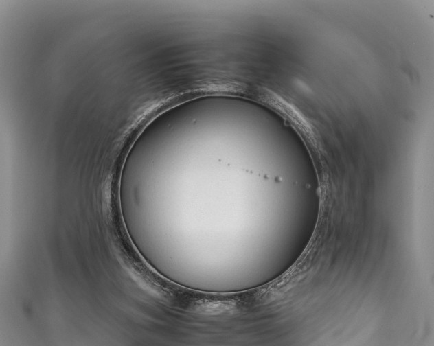 X0000111600155200907231243