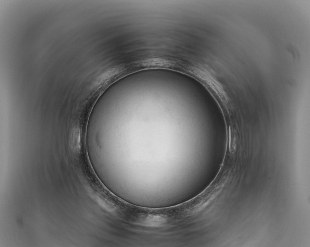 X0000111600157200907231243