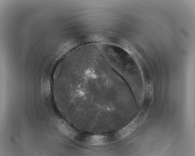 X0000111600158200907231243