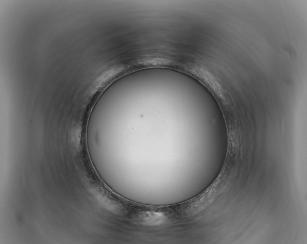 X0000111600159200907231243