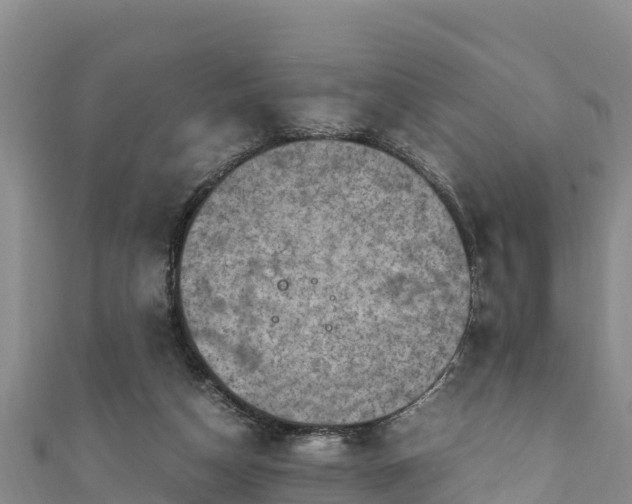 X0000111600162200907231243