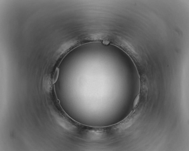 X0000111600164200907231243