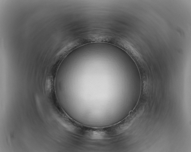 X0000111600165200907231243