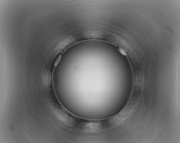 X0000111600168200907231243