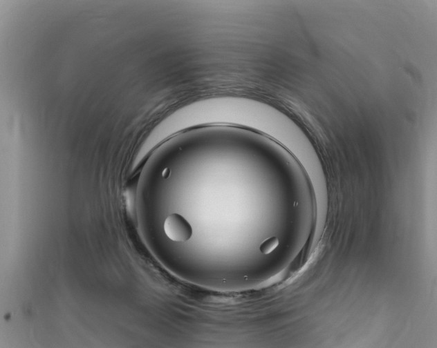 X0000111600170200907231243
