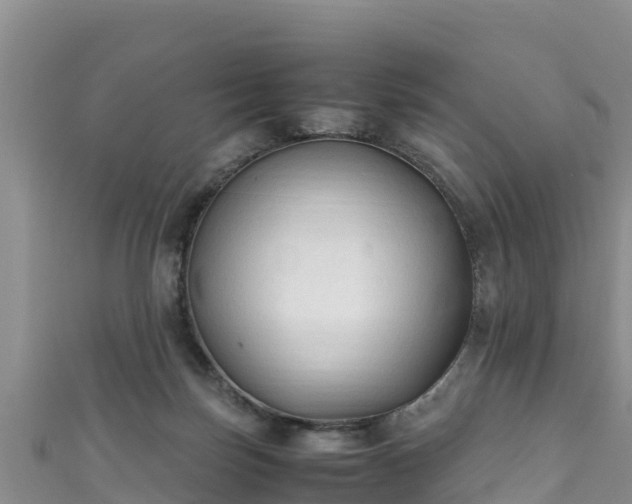 X0000111600171200907231243
