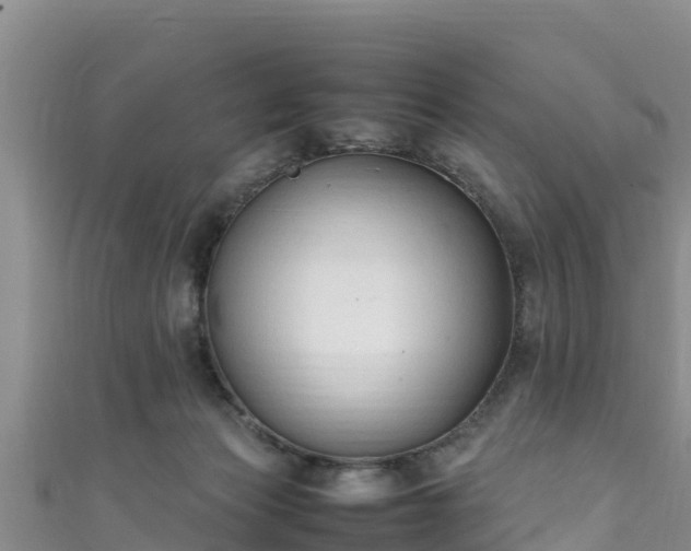 X0000111600173200907231243