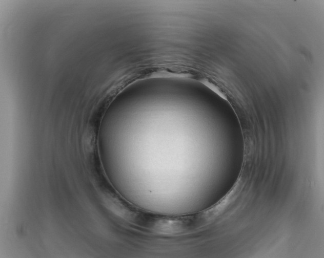 X0000111600174200907231243