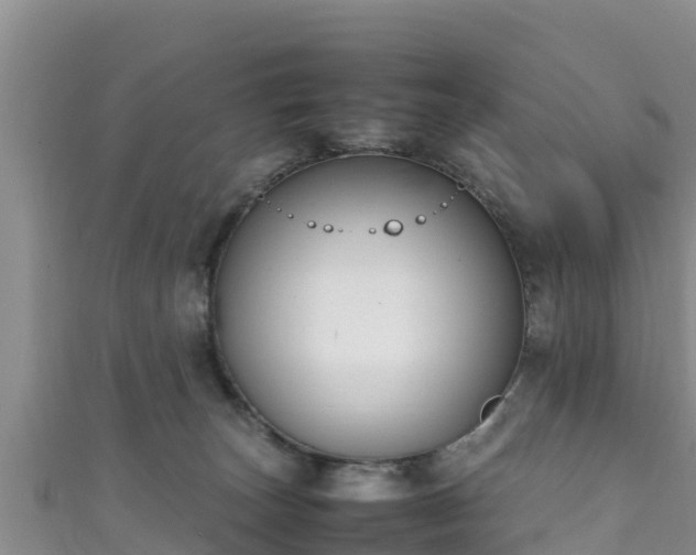 X0000111600179200907231243