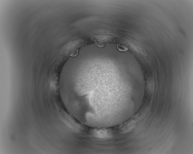 X0000111600181200907231243