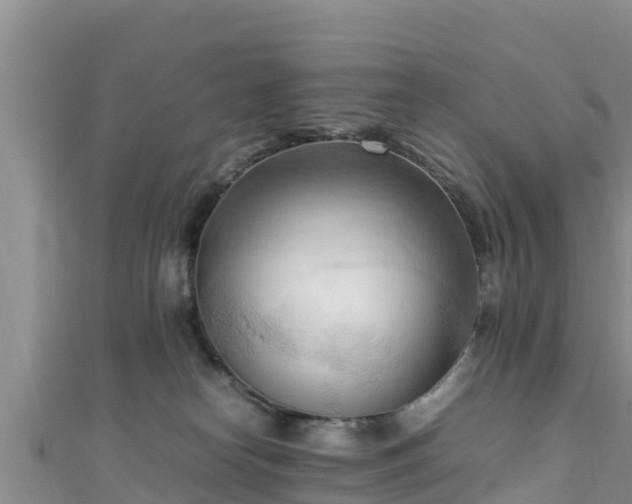 X0000111600182200907231243