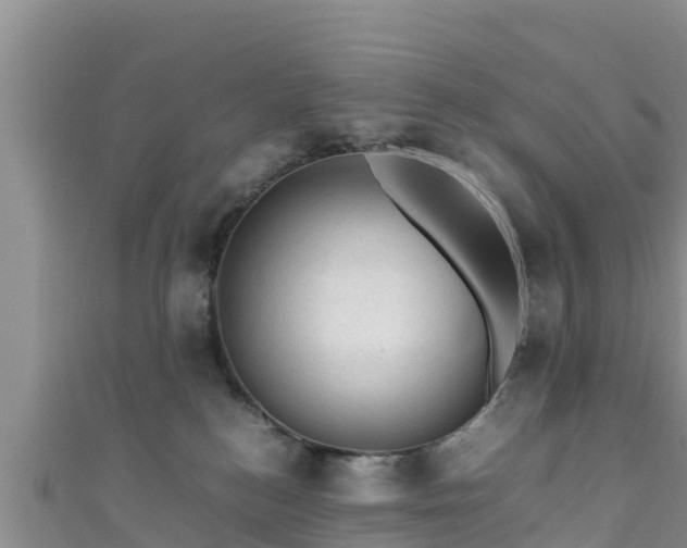 X0000111600184200907231243