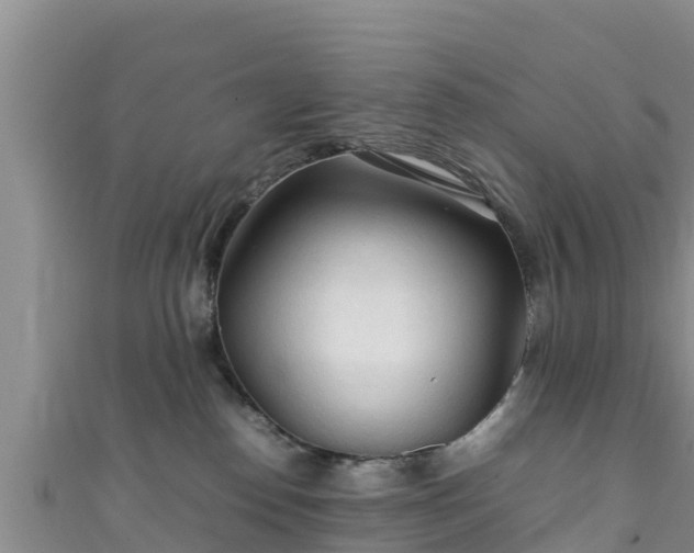 X0000111600186200907231243