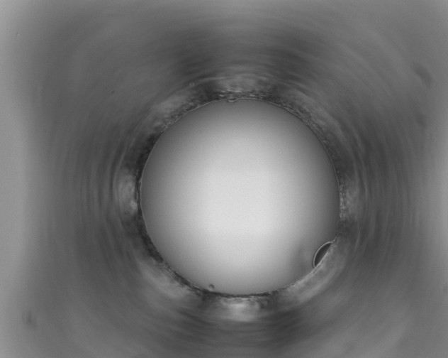 X0000111600187200907231243