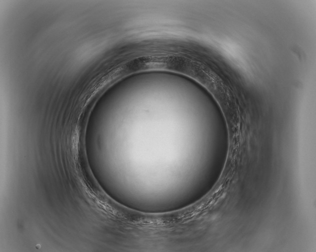 X0000111600194200907231243