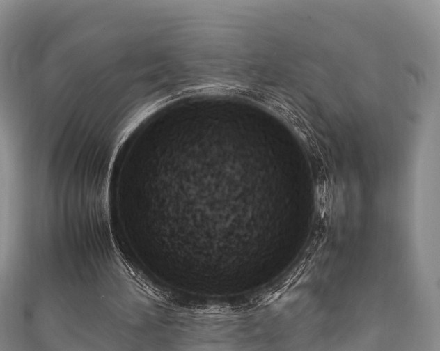 X0000111600196200907231243