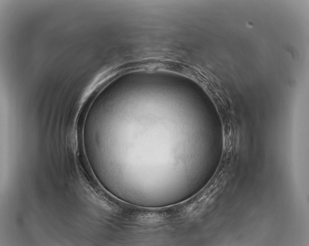 X0000111600198200907231243