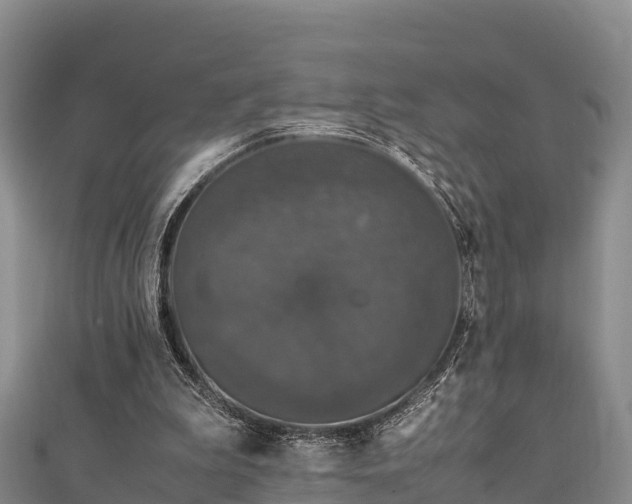 X0000111600199200907231243